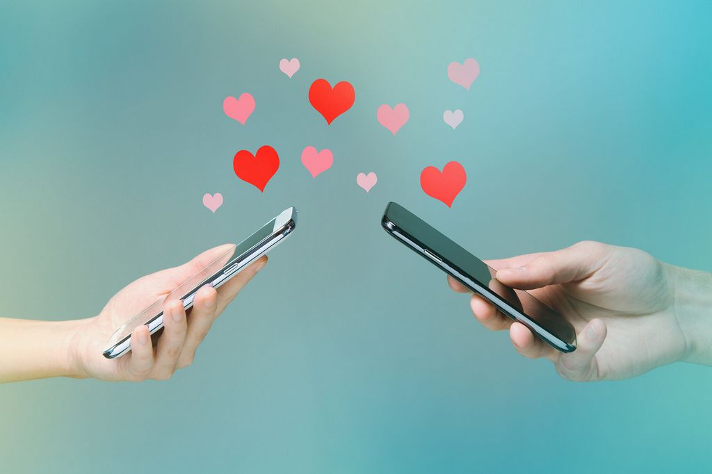The Audience of SofiaDate Internet Dating Platform